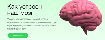 [Синхронизация] Как устроен наш мозг (Вячеслав Дубынин)