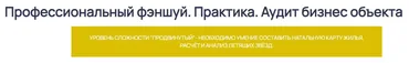 Профессиональный фэншуй. Практика. Аудит бизнес объекта (Ольга Николаева)