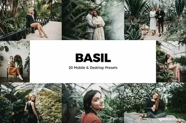 Набор пресетов и лутов Lightroom & Photoshop / 20 Basil LUTs and Lightroom Presets (SparkleStock)