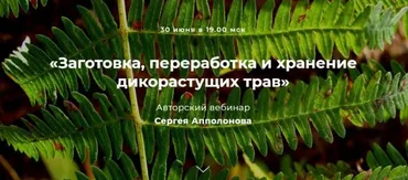 Заготовка, переработка и хранение дикорастущих трав (Cергей Апполонов)