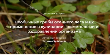 Необычные грибы осеннего леса и их применение в кулинарии, косметологии и оздоравлении организма (Татьяна Чуйкина)
