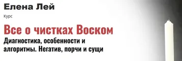 Все о чистках Воском. Диагностика, особенности и алгоритмы. Негатив, порчи и сущи (Елена Лей)