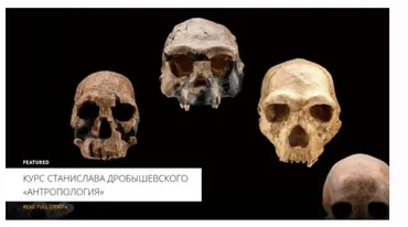 [Архэ] Антропология. Австралопитеки 2024 (Станислав Дробышевский)