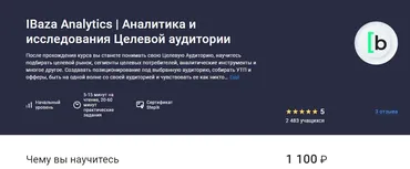 [IBaza Analytics] Аналитика и исследования Целевой аудитории (Stepik)