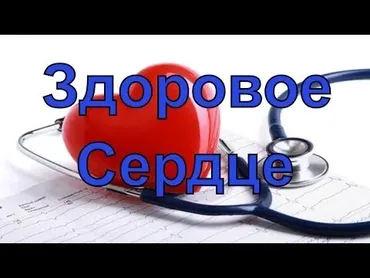 Как ухаживать за своим сердцем и сосудами (Елена Бахтина)