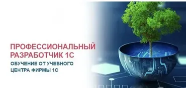 [Учебный центр №1] Профессиональный разработчик 1С