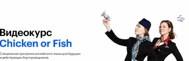 Английский для бортпроводников Chicken or Fish (Анна Фетискина)