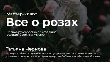 Все о розах. Полное руководство по созданию розария у себя на участке (Татьяна Чернова)