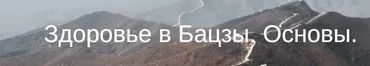 Здоровье в Бацзы. Основы (Юлия Бальсина)