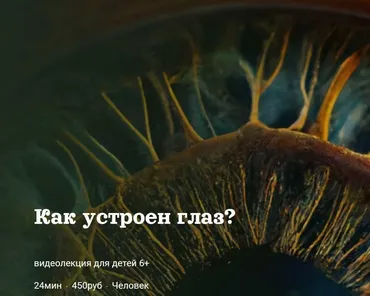 [Детский лекторий] Как устроен глаз? (Александр Толмачев)
