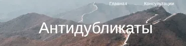 Антидубликаты (Юлия Бальсина)