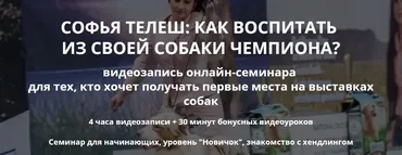 [DogWinner] От щенка до чемпиона (Софья Телеш)