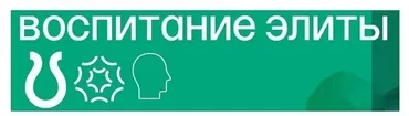 Воспитание элиты (Михаил Федоренко)