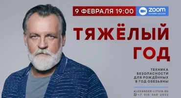 Тяжелый год. Техника безопасности для рожденных в год Обезьяны (Александр Литвин)