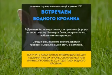 Путеводитель Фэншуй и Ци Мень. Год Водного Кролика 2023. Пакет VIP (Нинель Смолина)