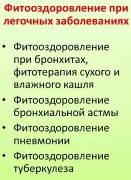 Фитооздоровление при лёгочных заболеваниях (Елена Корсун)