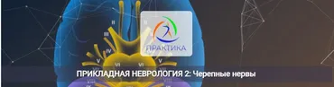 [Центр Практика] Прикладная неврология 2: Черепные нервы (Мария Недре)