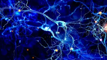 [Sigh Energy] Процесс улучшения мозга - Brain Improvement Process Powerful Plus +11x Extra Strong