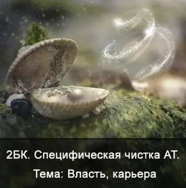 2БК Специфическая чистка астрального тела. Тема: Власть, карьера (Ксения Меньшикова)