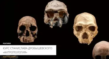 [Архэ] Первые Homo 2024 (Станислав Дробышевский)
