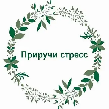 Приручи стресс (Наталья Кондакова)