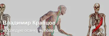 Ролики которых нет на Ютубе. Тариф Про осанку. Подписка на месяц (Владимир Кравцов)