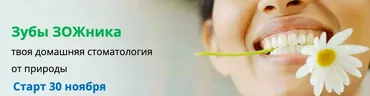 Зубы ЗОЖника. Тариф Базовый (Наташа Сведовая, Светлана Полынчук)