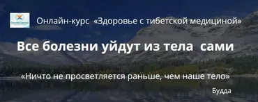 Здоровье с тибетской медициной (2019) (Елена Шапаренко)