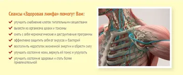Здоровая лимфа. Сеанс №2 (Юджиния Квант)