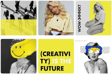 Creator. Креатор. Тариф Продвинутый (Елена Павлова)
