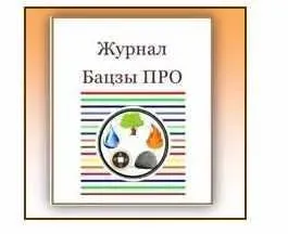 Онлайн журнал. Бацзы ПРО. Советы, подсказки, интересные примеры от практикующего специалиста Бацзы