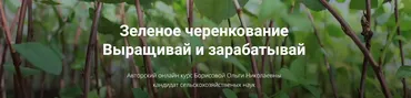 [Питомник растений Глория] Зеленое черенкование; Выращивай и Зарабатывай (Ольга Борисова)