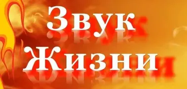Звук жизни. 1-я сфера Я Есмь (Лариса Артамонова)