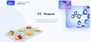 [amb] Основы биохимии. 3 модуль (Елизавета Радевич)
