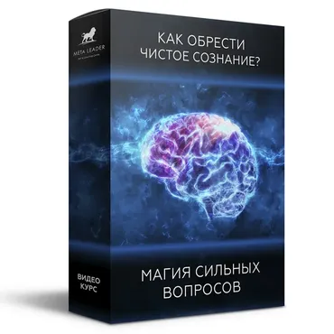 [Meta Leader] Магия сильных вопросов - как обрести чистое сознание (Кирилл Прищенко)