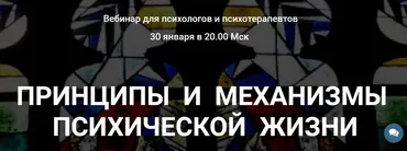Принципы и механизмы психической жизни (Надежда Майн)