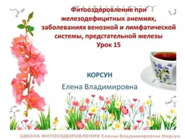 Фитооздоровление при анемиях, заболеваниях лимфасистемы, предстательной железы (Елена Корсун)