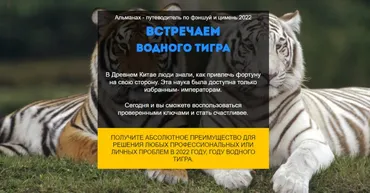 Путеводитель Фэншуй и Ци Мень. год Водного Тигра 2022. Тариф ВИП (Нинель Смолина)