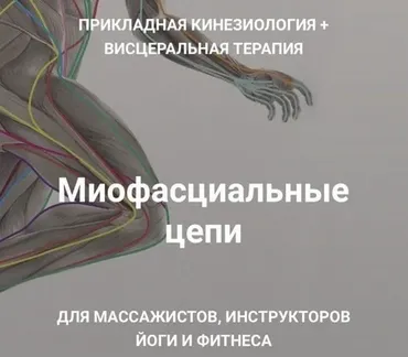 Миофасциальные цепи. Прикладная кинезиология + висцеральная терапия (Султан Фазлыахметов)