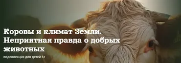 Коровы и климат Земли. Неприятная правда о добрых животных (Александр Толмачев)