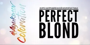 Perfect BLOND (Денис Аюкасов)