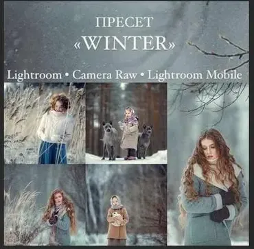 Пресет Winter (Анна Мельникова)