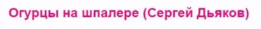 Огурцы на шпалере (Сергей Дьяков)