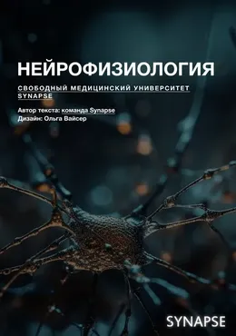 [Synapse] Методичка по нейрофизиологии