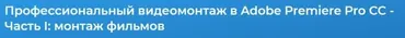 Профессиональный видеомонтаж в программе Adobe Premiere Pro CC Часть I – монтаж видеоматериалов (Дмитрий Эпов)