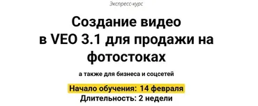 Создание видео в VEO 3.1 для продажи на фотостоках. Пакет Базовый (Вадим Закиров)