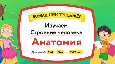 [НИИ Эврика] Домашний Тренажер «Изучаем Строение Человека. Анатомия» для детей 2-4 года