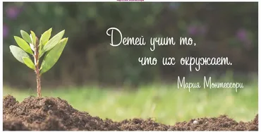 [montessori-print.store] 45 карточек Монтессори для расширения словарного запаса ребёнка