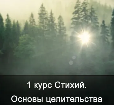 [Школа Меньшиковой] 1 курс Стихий. Основы Целительства (Ксения Меньшикова)