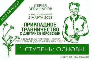 Прикладное травничество. Основы (Дмитрий Юровский)